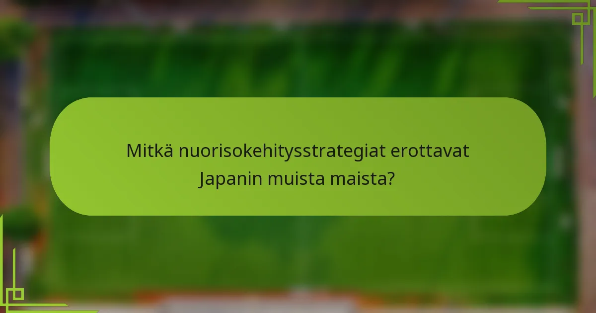 Mitkä nuorisokehitysstrategiat erottavat Japanin muista maista?